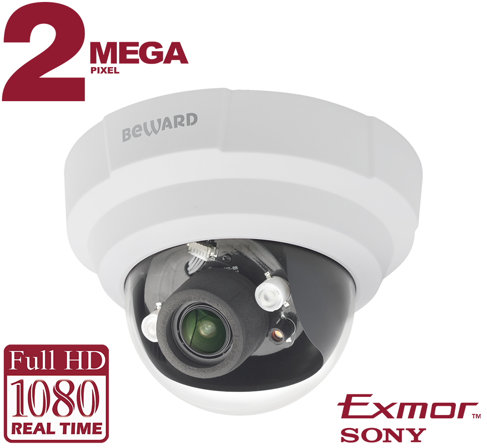 IP камера NK55002D6